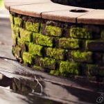 Moss covered Fire Pit Wall