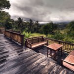 A Wet and Windy Day