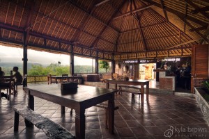 Inside the Restaurant