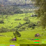 Bali Asli Countryside