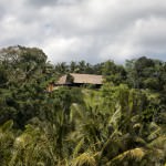 Bali Asli nestled in the trees