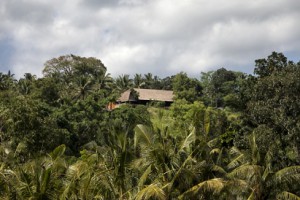 Bali Asli nestled in the trees