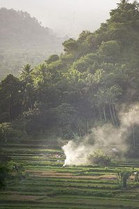 Bali Asli view from deck