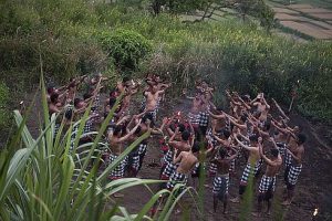 Vegetable garden ceremony