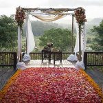 Rose petals