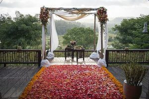 Rose petals