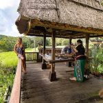 Lumbung at Bali Asli