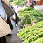 Fresh Vegetables