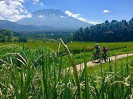 Mountain Biking Adventure