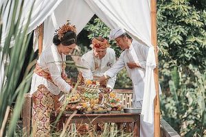 The gifts of fruit